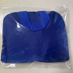 ドラゴンズ ファンクラブ入会特典の画像