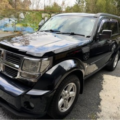 🛞希少ダッチナイトロ🛞交換、下取り歓迎〜の画像