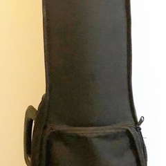 Andreas Eastman vl80 3/4  の画像