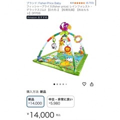 ベビージム　人気フィッシャープライスの画像