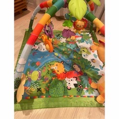 ベビージム　人気フィッシャープライスの画像