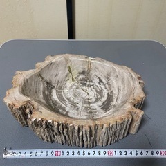 珪化木（木化石）②の画像