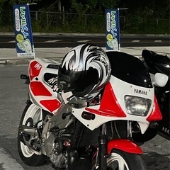 現状販売 TZR2503MAの画像