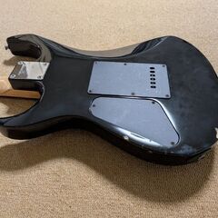 フェルナンデスのギターの画像