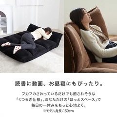 LOWYA (ロウヤ) 二人掛け　ローソファの画像