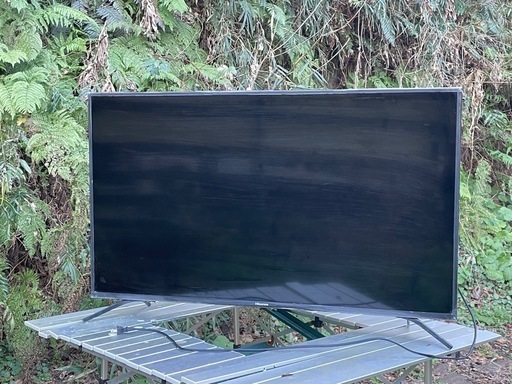 テレビ