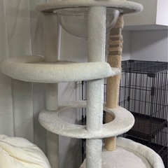 キャットタワー の画像