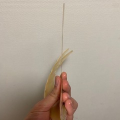 夜光貝　スライス　3枚セット　螺鈿細工　ハンドメイド　ハンドクラフト　ギターのインレイ　アクセサリー　素材の画像