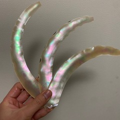 夜光貝　スライス　3枚セット　螺鈿細工　ハンドメイド　ハンドクラフト　ギターのインレイ　アクセサリー　素材の画像