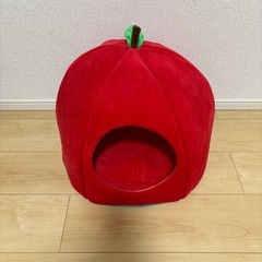 猫用品まとめの画像