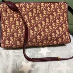 DIOR シャルバーバッグの画像