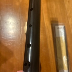 Aulos アルトリコーダー ALTO E 209B ケース付きの画像