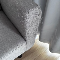 ソファーベットの画像