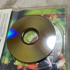 プレデターDVDの画像