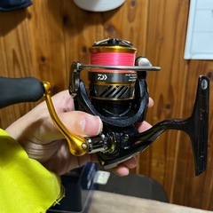 ダイワ　レブロスLT1000sの画像