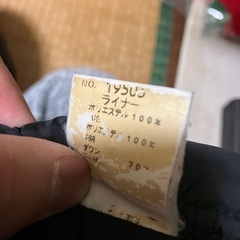 ダウンベストの画像