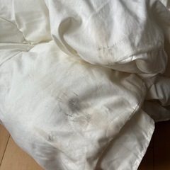 ニトリ　掛け布団　　　シングル　2枚の画像