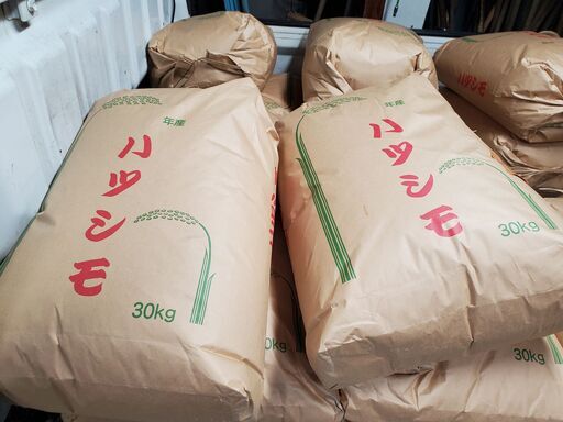 令和7年度産　岐阜県ブランド米 ハツシモ 玄米30kg　岐阜県産のお米③