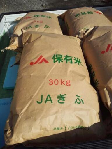 令和7年度年度産　岐阜県ブランド米　ハツシモ　はつしも　瑞穂市産30kg 玄米　