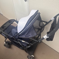 2人乗用ダブルバギー　KATOJIの画像