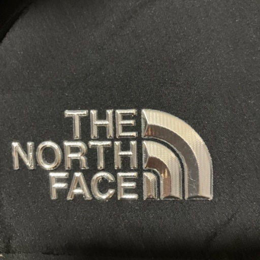 銀ピカ❗️ 目立つ❗️THE NORTH FACE ドライベント ダウンコート