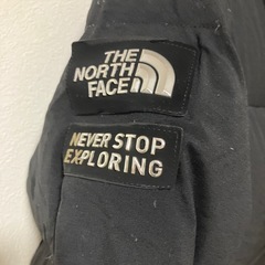 銀ピカ❗️ 目立つ❗️THE NORTH FACE ドライベント ダウンコートの画像