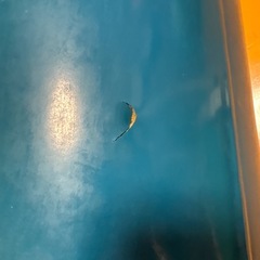 サンドバッグ？の画像