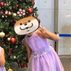 こども用ドレス150の画像