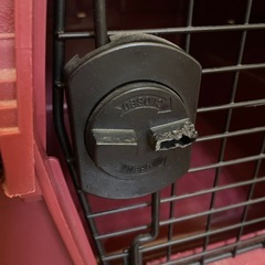 中型犬用のバリケンの画像