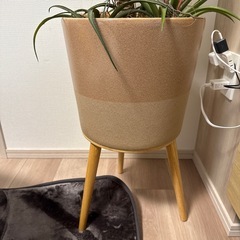 フェイクグリーン　鉢と土台付きの画像