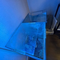 60センチ水槽台と水槽２本　30✖️30✖️高さ40の画像