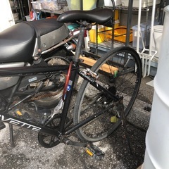 🚲クロスバイク🚲の画像