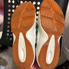 体育館履き　27.5 グリーン　の画像