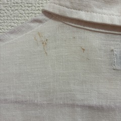 シャツの画像