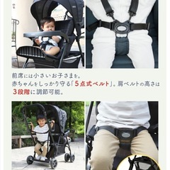 ✨美品✨【KATOJI】二人乗りベビーカー 二人でゴー BLACK　取替用リアシート(ブラック)・専用レインカバー付きの画像