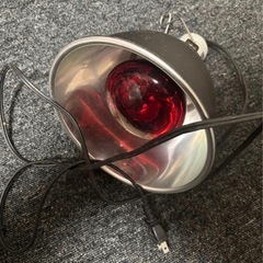 縦型604545ケージ、隠れ家二つ、60センチ水槽、レプタイルボックス、保温シーツ、ソケット、保温ライト、温度調節機、ペットシーツ二百枚、プラスチックケージ、の画像