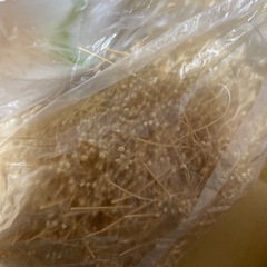 プリザーブドの画像