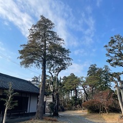 【竹の丸でYOGA@掛川】の画像