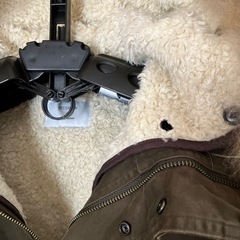 モッズコートの画像