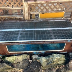 プラ舟　　鑑賞窓付き　水槽の画像