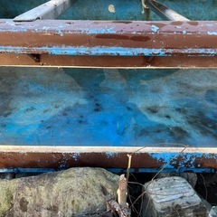 プラ舟　　鑑賞窓付き　水槽の画像