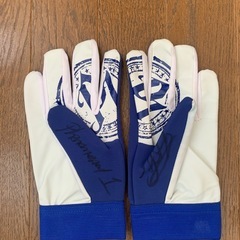 プロレス　WWE AJスタイルズ グローブ  の画像