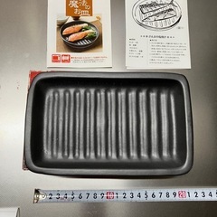 電子レンジで魚が焼ける 魔法のお皿の画像