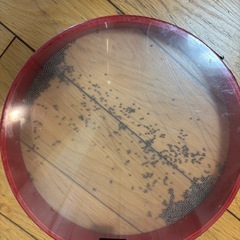 Zenn オーシャンドラム の画像