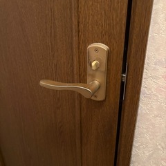 【取り外しと搬出出来る方限定】カギ付き室内ドアの画像