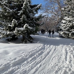 2/8(日)10時〜 歩くスキーしませんか？