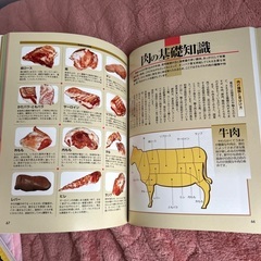 包丁テクニック　図解　料理本の画像