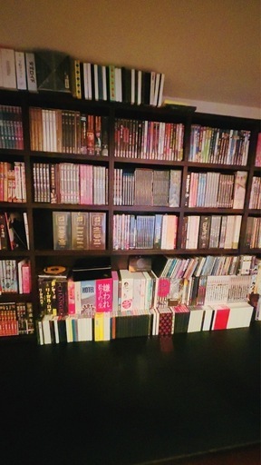 オーダーの本棚にDVD棚
