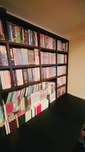 オーダーの本棚にDVD棚