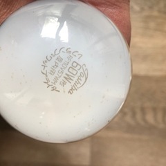 レフランプの画像